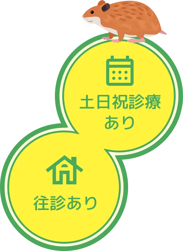 土日祝診療あり/往診あり